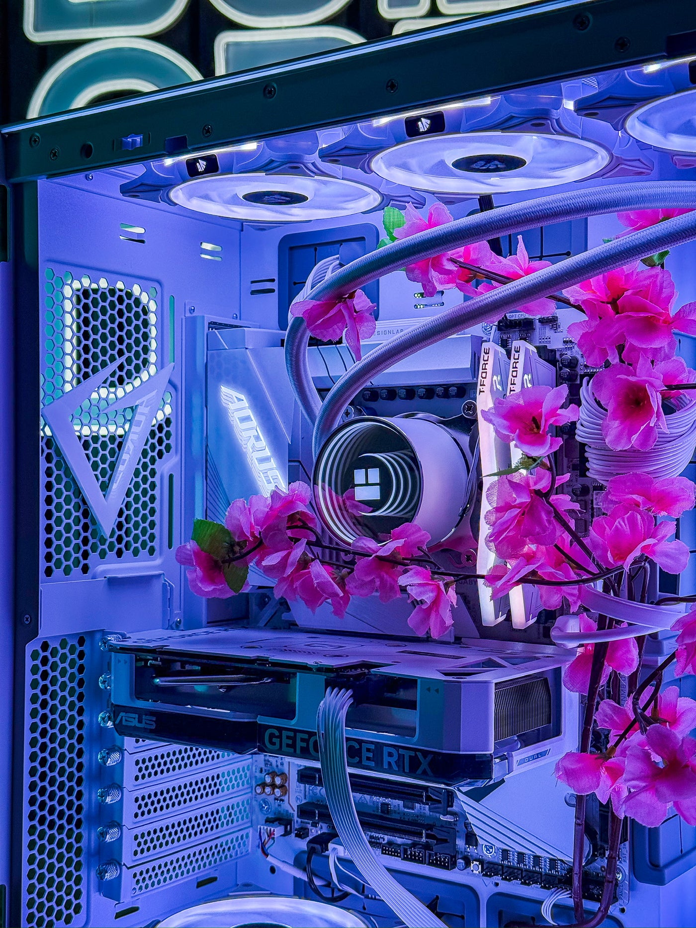 "Cherry Blossom" | Pre-Configured 50 Series