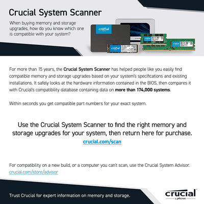 Crucial 500 GB Internal SSD (3D NAND, NVMe, PCIe, M.2) Vyral